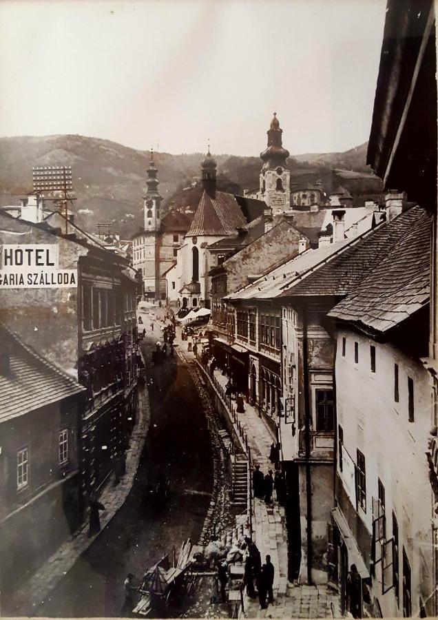 Penzion Rozalia Banská Štiavnica Eksteriør bilde
